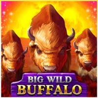 game logo by Belatra Games on coolbett.ca
